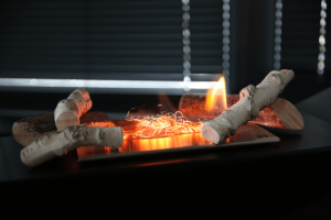 BIO EMBER